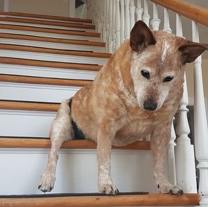 Meet your Posher, Melanie